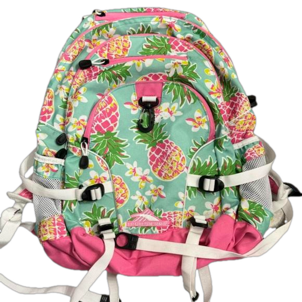 High Sierra Backpack